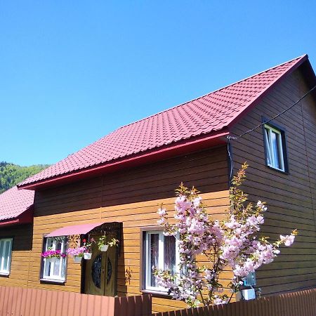 Gasthaus Відпочинок У Карпатах, Мінеральні Ванни, Банний Чан! Verkhnyaya Bystra Exterior foto